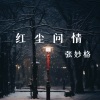 张妙格《红尘问情》[MP3/LRC]