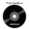 Mister Sweatband - Nighthawk