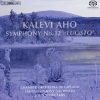 Hannu Lehtonen、Aki Alamikkotervo、Kalevi Aho、Dmitri Shostakovich、Taina Piira、Chamber Orchestra of Lapland、Lahti Symphony Orchestra - I. Samaanit (the Shamans)