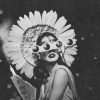 Bassanova、Alex Bass - pale moonlight (Explicit)