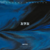 张永平 - 偷心