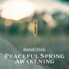 Namah Shina - Ephemeral Awakening