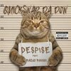 QuickSnap Da Don、Radio Rahim - Despise (feat. Radio Rahim|Explicit)