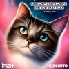 F4ST、Cornetto - Chipi Chipi Chapa Chapa Dubi Dubi Daba Daba (Techno Mix)