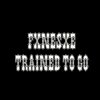 Fxnesxe - Trained To Go (Explicit)