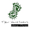 Tyler Ward - Teenage Dream