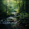 Fondos de sonidos de la naturaleza、Sonidos de agua para dormir、Especialistas de Musica para Dormir - Estudios Armónicos De Oleadas
