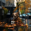 Fábrica De Lluvia、Vibraciones frías、Perros calmantes - Preludio De Ladridos Lluviosos