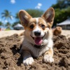 Mascotas relajarse、Misterios mentales encerrados、Experiencia definitiva en el océano - Armonía Rítmica Mascotas Oceánicas