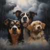 Poderosa fuerza mental、Sonido de lluvia、Música para dormir de perros - Armonía Melódica De Lluvia Para Perros