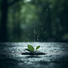 Vida Sonidos Naturaleza、Grabadora Lluvia、Enfoque y trabajo - Melodías Concentradas De Gotas De Lluvia