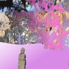Bassanova、Alex Bass - remains the same