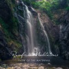 Rainforest Meditations《Flow of the Waterfall》[MP3/LRC]