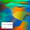 永不消逝的太阳 - Forever Young