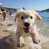 Caminante de la naturaleza、Riachuelo、Música para perritos - Zen De Los Perros Junto A La Orilla Del Agua