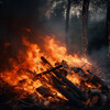 Ruidos de la Selva、Sonidos de Fuego Dormir y Relajarse、La Naturaleza Del Sueño - Serenidad Onírica Junto A La Lumbre
