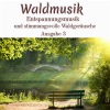 Waldgeräusche - Das Blätterdach