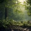 Study Concentrate、Dropletecal、Unique Chill - Rain's Gentle Lullaby