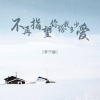 李宁静 - 不再指望你给我多少爱