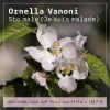 Ornella Vanoni - Sto male (Je suis malade)(Anthology of Italian Hits 1973)