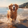 Declaración más profunda、Búsqueda silenciosa、Canciones para que los perros duerman - Armonía Del Cachorro Junto Al Río