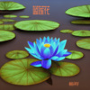 张永平 - 蓝莲花