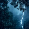 Relaxed Mind、Best Relaxation Music、Tim Janis、Relaxing Music - Relaxing sleep music with rain and thunder sounds