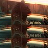 Moni - The Birds