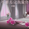 丽芝 - 不要忘记我爱你
