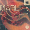 Marli - Things You Could Not Express