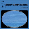 永不消逝的太阳 - 想念种在你的城