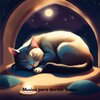 Música para dormir Gatos - San Juan del Gato