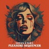 Santana《Pleasure Sequencer (MarcX Remix)》[MP3/LRC]