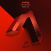 N-sKing - Dynamica