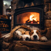 Grabaciones de transmisiones externas、Sol del Milenio、Perro soñador - Ola Calma De Fuego Para Perros