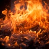 Sonidos de la jungla、Sonidos de fuego de llamas del amanecer、Trabajar desde Casa - Ritmo Motivacional Del Trabajo Con Fuego