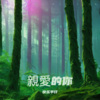 张永平 - 雨过天晴