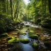 Grabaciones de naturaleza 4D、Sonidos del Río、Meditaciones de nativos americanos - Meditación Matutina Del Río
