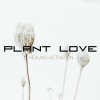 Plant Love《432 Hz Calm Your Mind》[MP3/LRC]