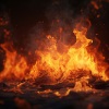 Study Time、Flammables、Worship Ensemble - Fire's Illuminating Study Melodies