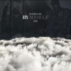 bankroll ree、Comeback、Rod - Steppers (Explicit)