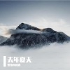 王大毛 - 去年夏天