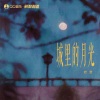 岩贵 - 城里的月光
