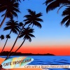 Café Tropicana - Rice in the Mountain