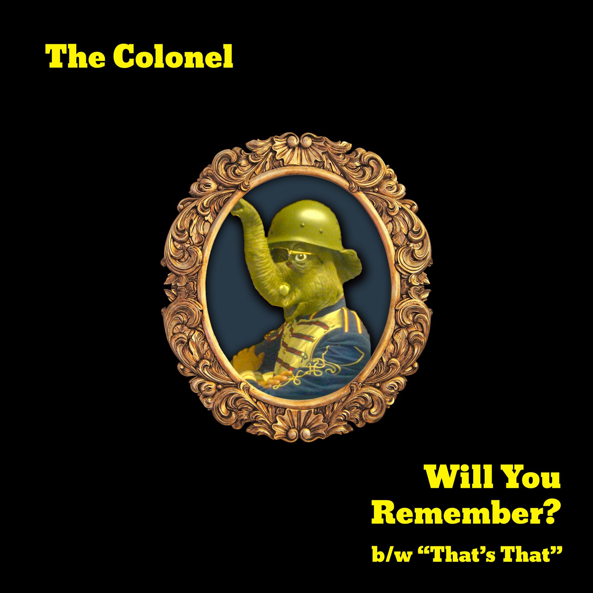 Mr. Bailey、The Colonel - Will You Remember (Original Mix)