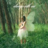 Ha Thanh - ALWAYS WITH ME