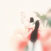 莓仁爱、萧清明 - 舒伯特玫瑰