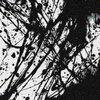 Contento_tunes、Robert Parris、Tyler Jackson - Astraldivinity X Contento - ID