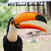 Bird Sound Collectors、Sons De La Nature、Nordic Wilderness - Chilling Bird