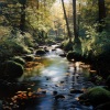 Música fácil de domingo por la mañana、Ciencia de la cascada、Canal de música relajante - Melodía Nocturna De La Lluvia Apacible